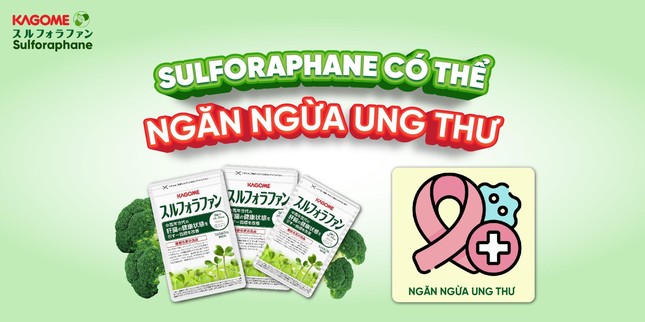 Bí mật giúp hợp chất Sulforaphane có thể ngăn ngừa nhiều bệnh ung thư ảnh 2